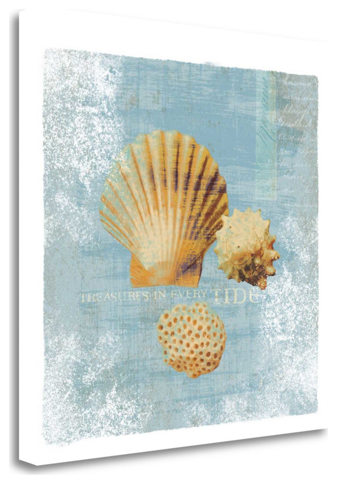 23" Blue Seashell Treasures Giclee Wrap Canvas Wall Art