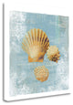 23" Blue Seashell Treasures Giclee Wrap Canvas Wall Art