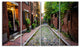 Acorn Street Massachusetts, Landscape Canvas Art Print, 48"x28", 4 Panels