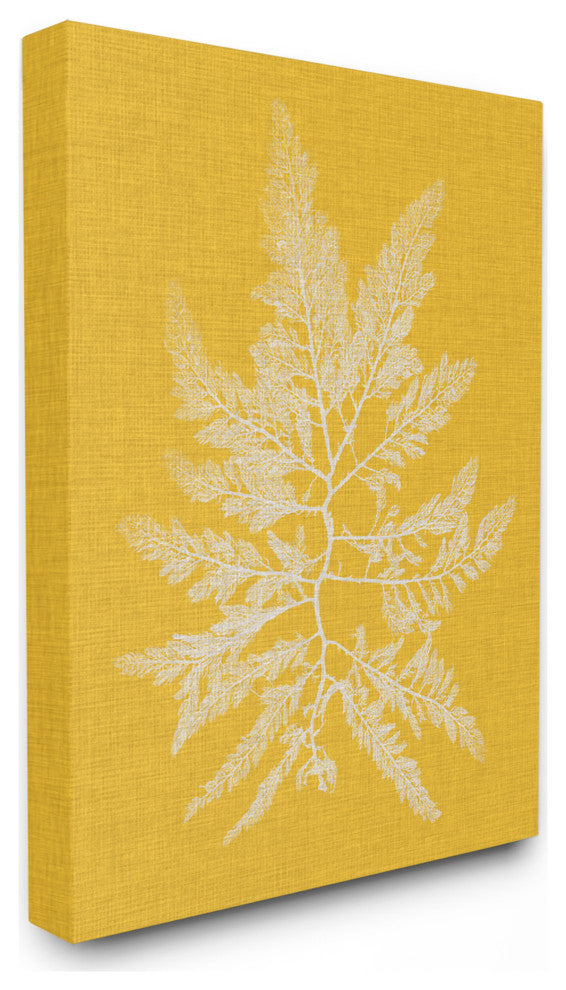 Coral Seaweed Yellow White Beach Design, 24"x30", Canvas Art