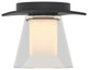 Wren Flush Mount, Incandescent, Opal and Clear Glass, Black