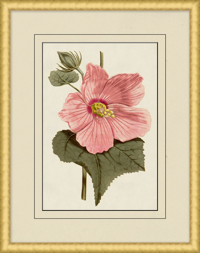 Fresh Flowers 9, Giclee Reproduction Artwork