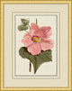 Fresh Flowers 9, Giclee Reproduction Artwork
