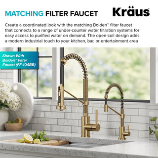 Bolden Commercial Style 2-Function Pull-Down 1-Handle 1-Hole Kitchen Faucet, Brushed Brass