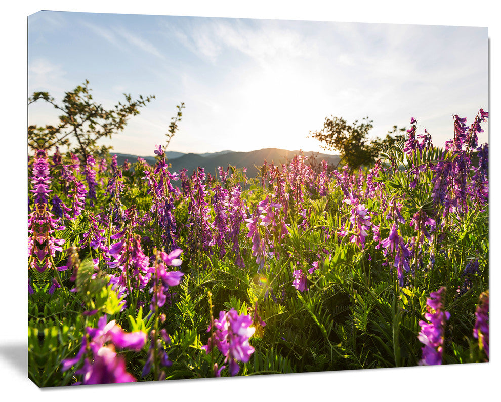 Amazing Summer Pasture with Flowers, Floral Canvas Art Print, 60"x28"