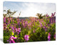 Amazing Summer Pasture with Flowers, Floral Canvas Art Print, 60"x28"