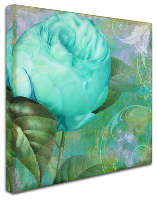 Color Bakery 'Aqua Rose I' Canvas Art, 24"x24"