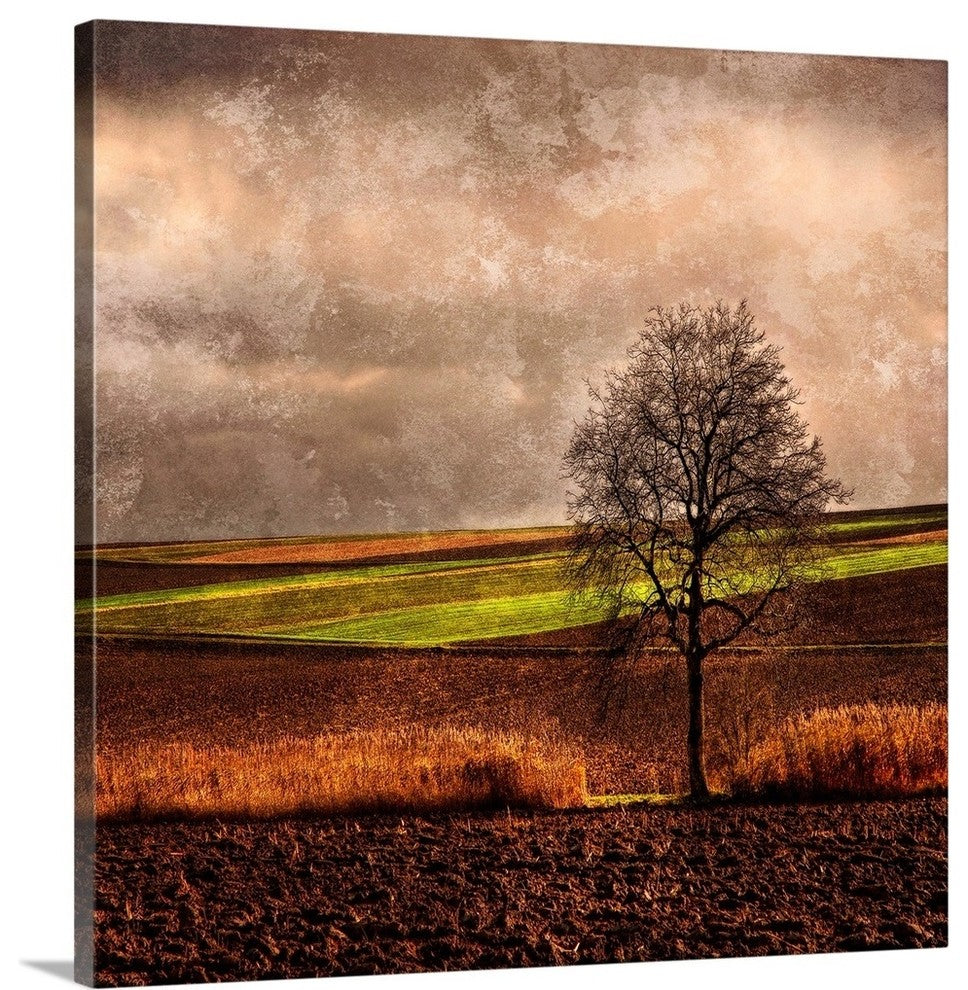 "Van Goghs Mind" Wrapped Canvas Art Print, 20"x20"x1.5"