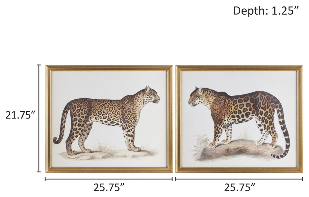Madison Park The Duel Cheetah Framed Graphic Wall Decor 2 Piece set, Multi
