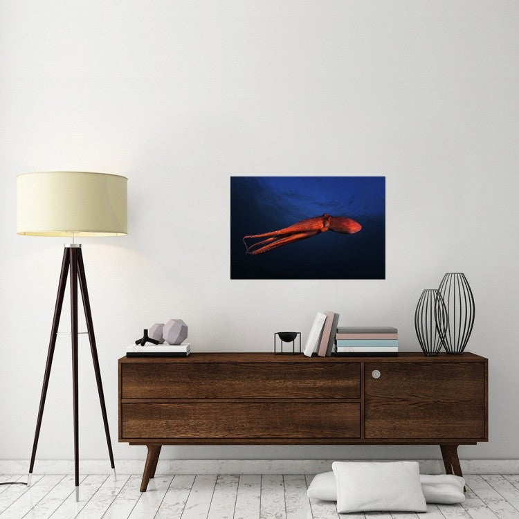 "Red Octopus" Stretched Canvas Giclee by Barathieu Gabriel, 36x24"