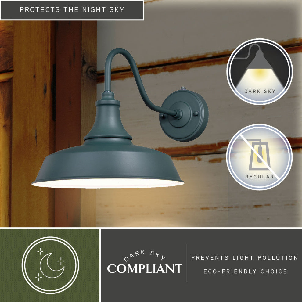 Dorado 1 Light Barn Outdoor Wall Lantern, Hunter Green/White, 12"x11.5"x18"