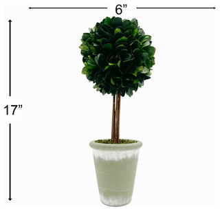 Image includes size measurements/overlay (instructional).