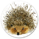 Hedgehog Illustration Watercolor, Animal Art Disc Metal Wall Art, 11"