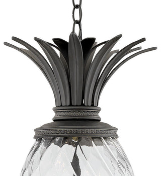 Hinkley Plantation Large Hanging Lantern, Museum Black