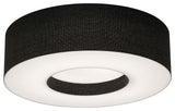 Montclair 12'' Fixture Light, Black, Flush Mount