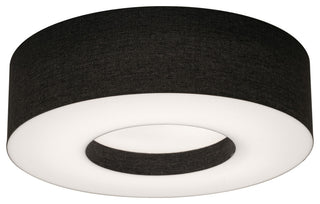 Montclair 12'' Fixture Light, Black, Flush Mount