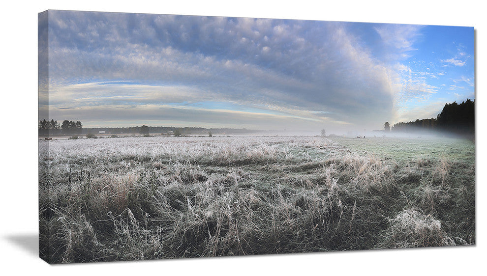 "Hoarfrost on Grass Under Cloudy Sky" Landscape Wall Art, 1 Panel, 60"x28"