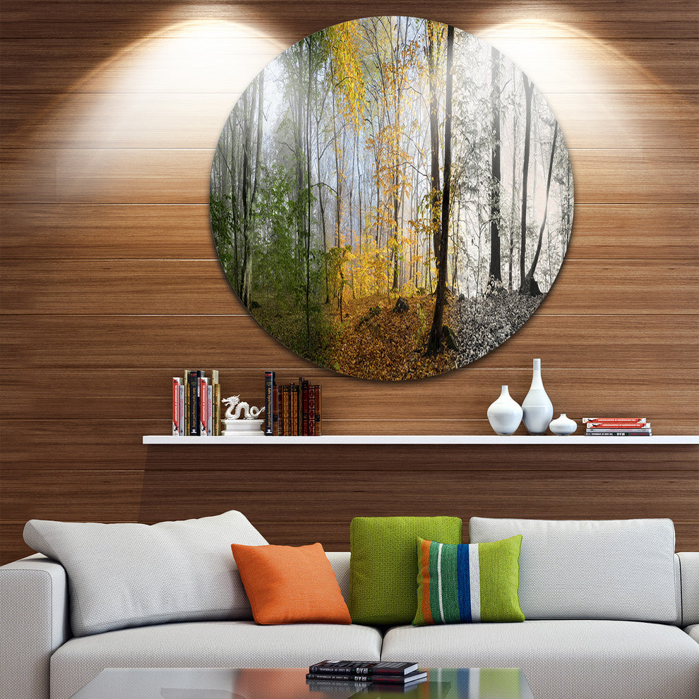 Forest In Early Morning, Landscape Photo Disc Metal Artwork, 38"