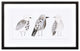 Framed Bird Print 19"L