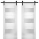 Double Barn Doors Opaque Glass / Sete 6003 White Silk / 13FT Rail, 60" X 80" ( 2* 30x80)