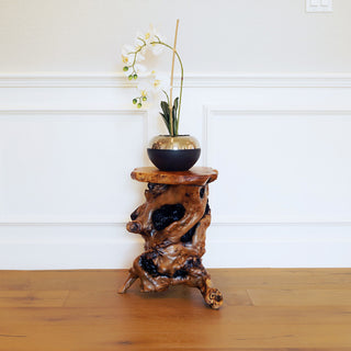 Unique Root End Table