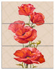 "Bunch of Poppies Vector Art" Glossy Metal Wall Art, 3 Panels, 28"x36"