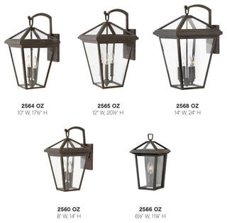 Hinkley Lighting 2565 Alford Place 3 Light 20-1/2" Tall Open Air - Museum Black