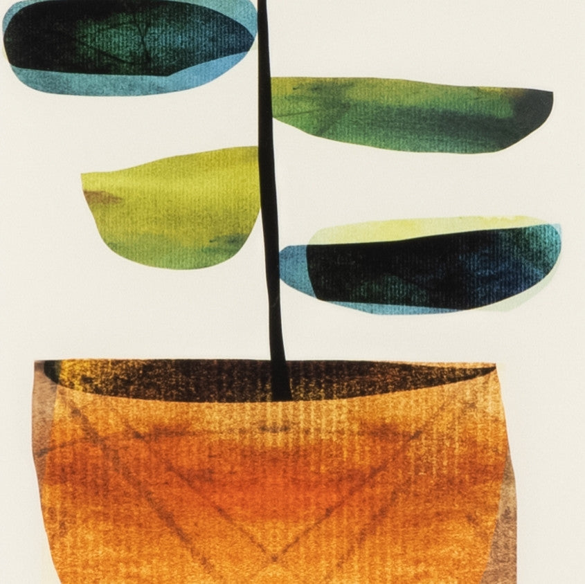 Pot Plant I By Dan Hobday