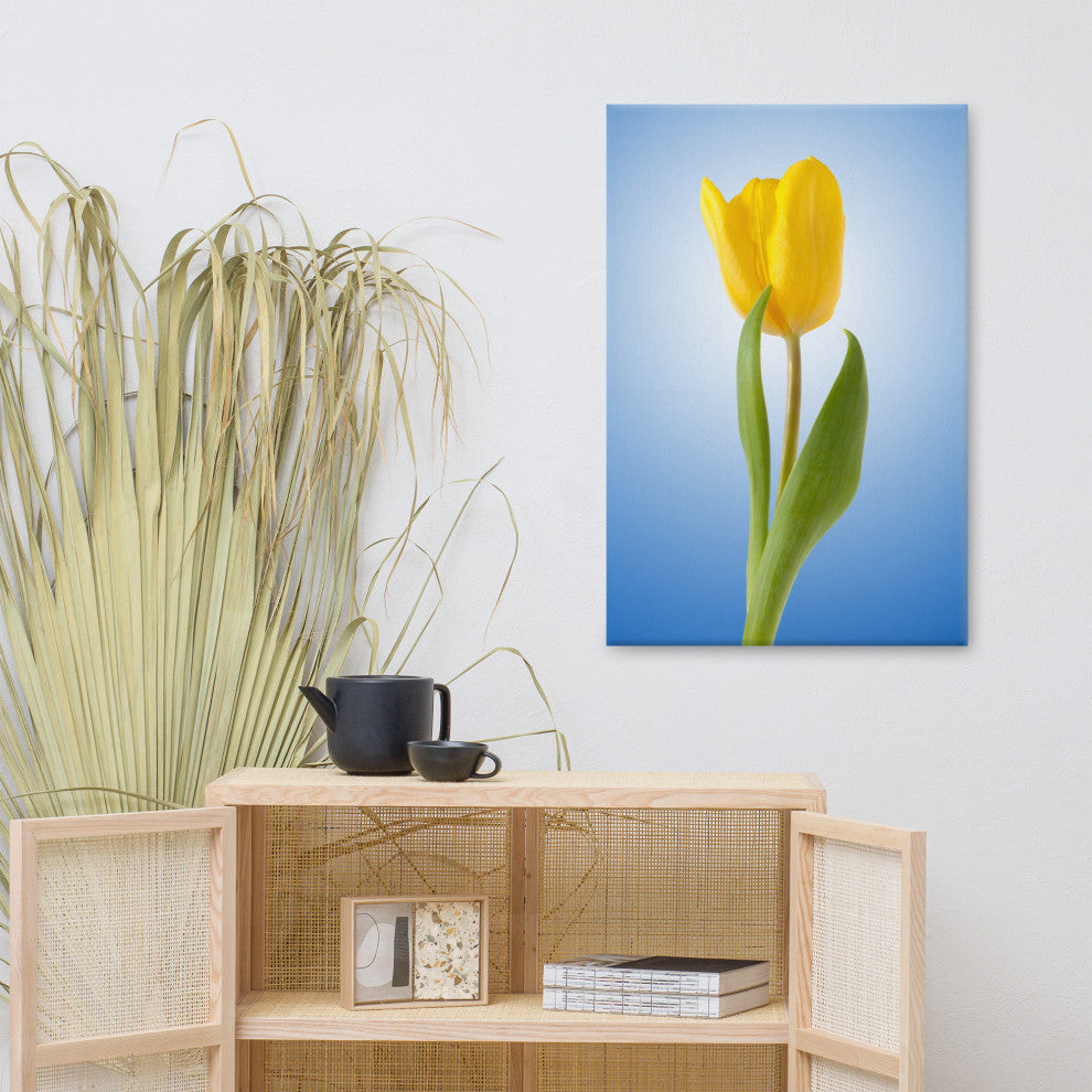 Yellow Tulip Minimal Botanical Floral Nature Photo Canvas Wall Art Print, 24" X 36"