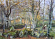 Camille Pissarro Landscape With Rocks Montfoucault Wall Decal Print
