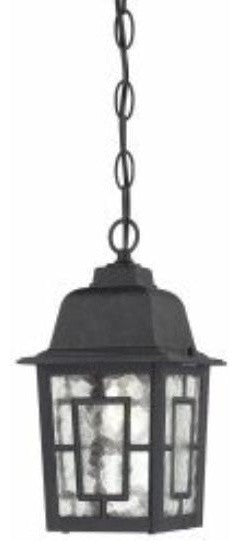 Banyan 1-Light Outdoor Hanging in Textured Black
