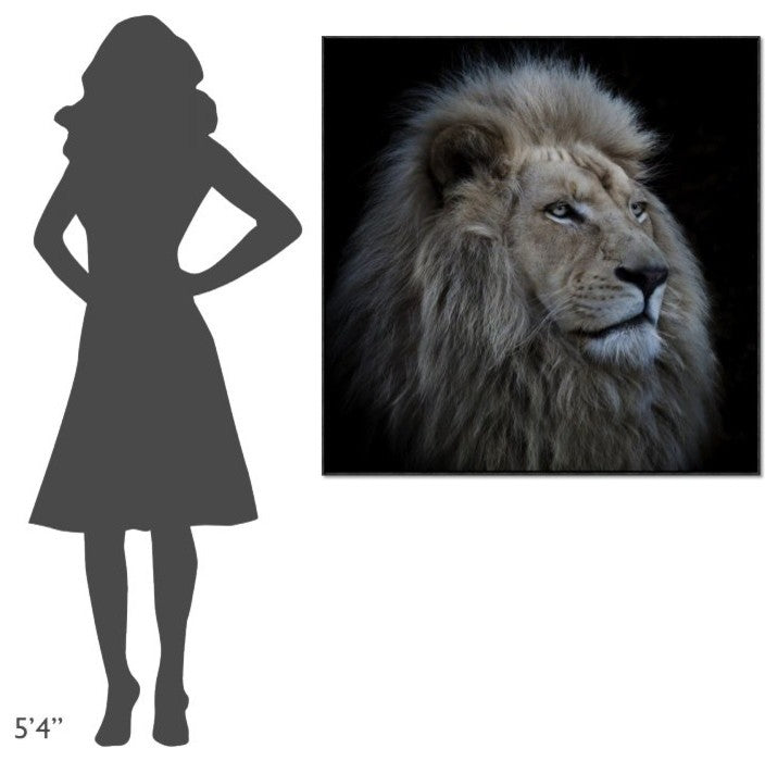 "Proud Lion" Framed Canvas Giclee by Louise Wolbers, 41x41"