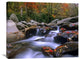 "Little Pigeon River, Great Smoky Mountains National Park, Tennessee" Artwork