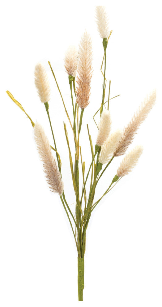 Foxtail Spray, Set of 6