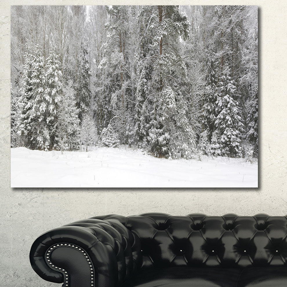 Foggy Winter Forest Panorama, Large landscape Canvas Art Print, 60x40