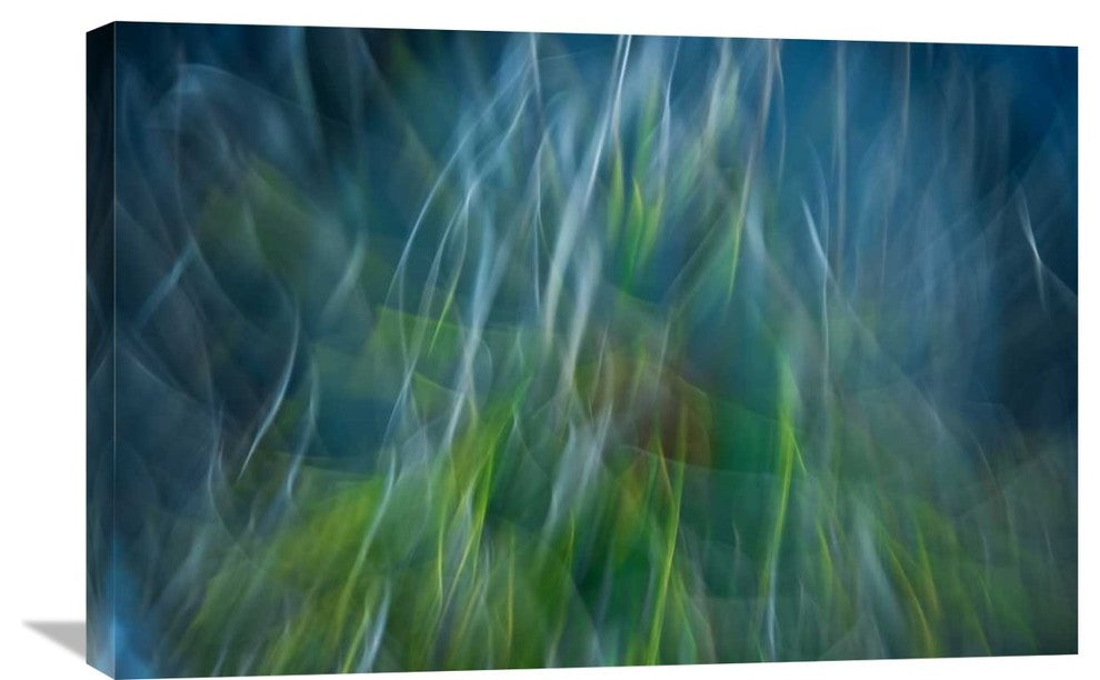 "Electro-Shock Blues" Stretched Canvas Giclee by Abrantespaulo, 30"x20"