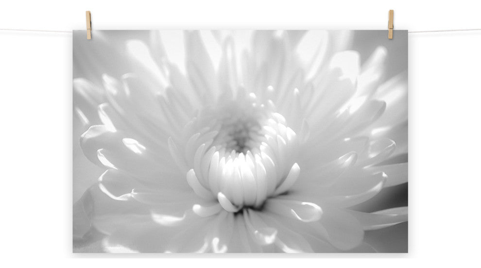 Infrared Flower 2 Nature Photography, Floral Unframed Wall Art Print, 11" X 14"