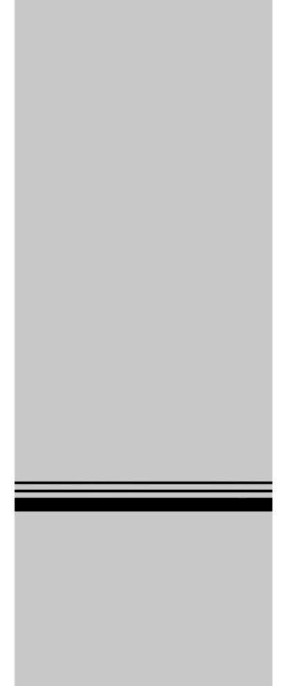 Slab Barn Door Panel 36 x 96 | Planum 0012 Grey Matte with  | Sturdy Finished