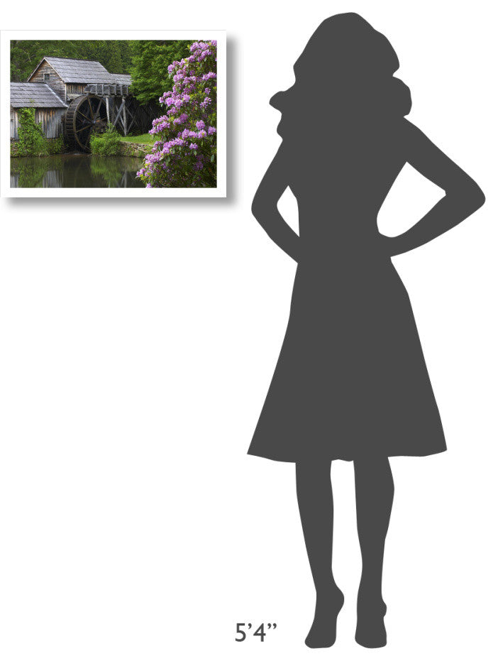 "Rhododendron blossoming at Mabry Mill, Blue Ridge Parkway Paper Art, 24"x17.62"