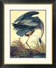 "Great Blue Heron" Framed Digital Print by John James Audubon, 28x34"