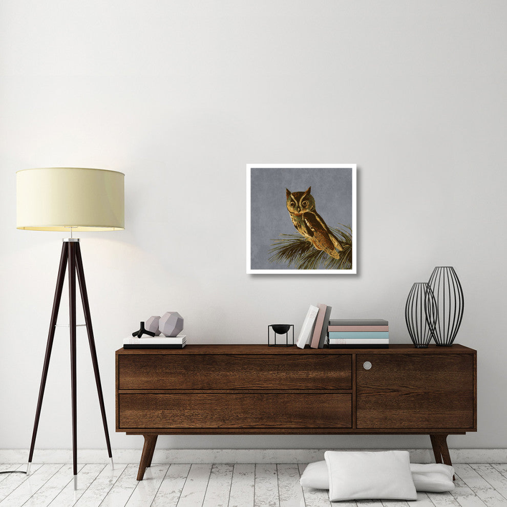 "Audubon Decor - Little Screech Owl Detail" Paper Print by BG.Studio, 26"x26"