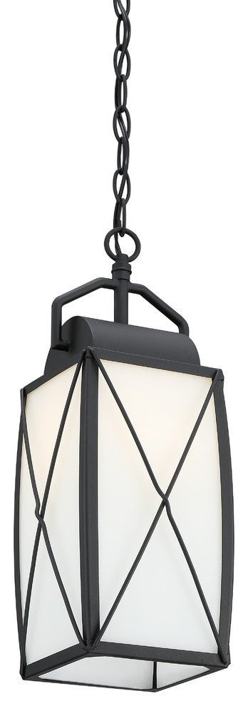 Fairlington 1 Light Outdoor Hanging Lantern, Black