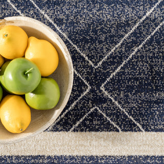 Nuloom Roberge Coastal Indoor/Outdoor Coastal Area Rug, Navy 12'x15'