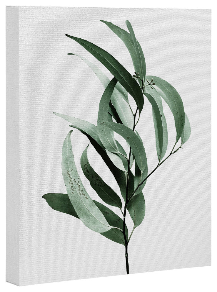Gale Switzer Eucalyptus Australian Gum Tree Art Canvas