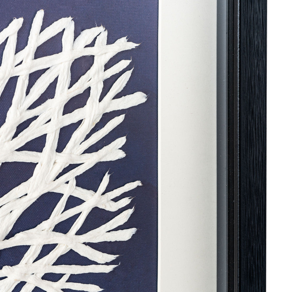 Sea Fan, Shadow Box, Sea Fan 1