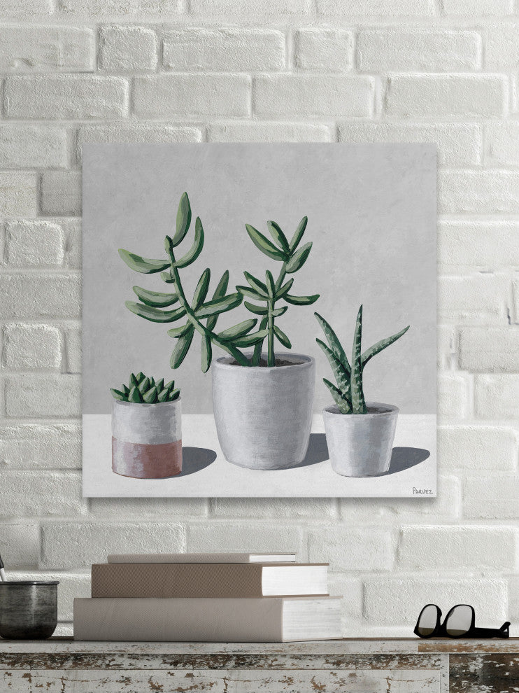 "Succulents, Bloom" Painting Print on Wrapped Canvas