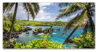 Pierre Leclerc 'Tropical Paradise Maui' Canvas Art, 19x10