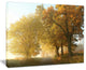 "Rural Road Under Green Trees" Landscape Canvas Photo Print, 20"x12"