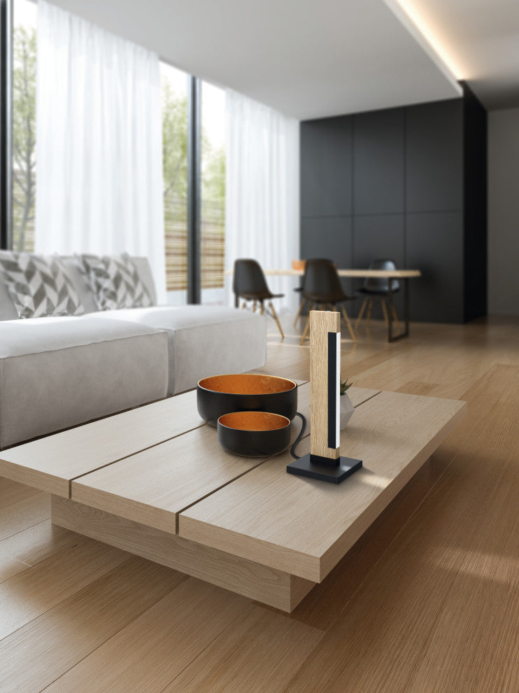 Camacho 1-Light Integrated LED Table Lamp, Black/Natural, White Cover