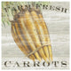"Farm Fresh Carrots" Digital Paper Print by Sue Schlabach, 42"x42"